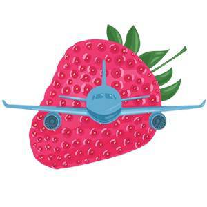 Туристическое агентство 